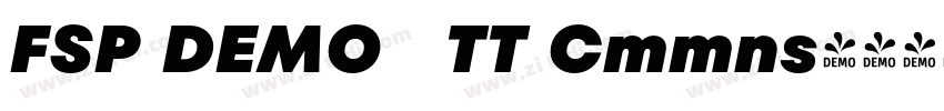 FSP DEMO   TT Cmmns字体转换